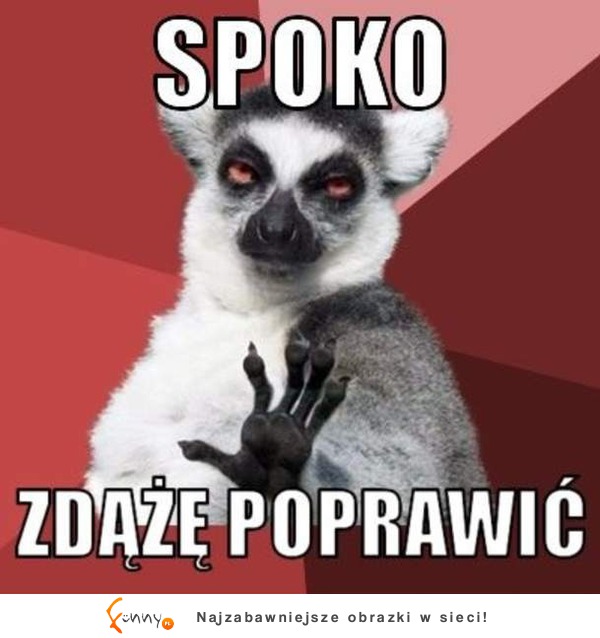 Spoko