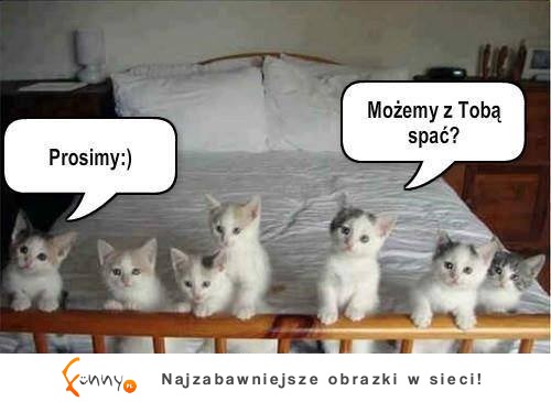 Mogą spać z Tobą?