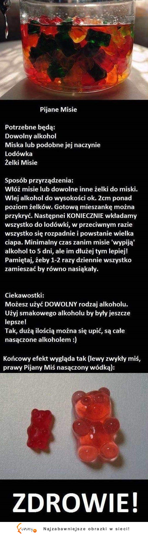 Pijane Misie, czyli sposób na alkoholowe żelki :D Uwaga! Można się upić ;)