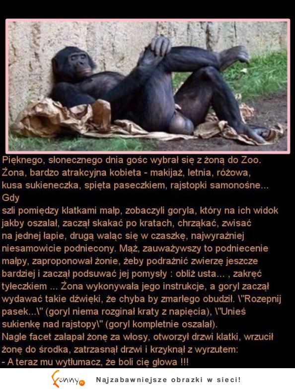 Mąż zabrał żonę do ZOO. I wywinął jej niezły numer! PORAŻKA! :D