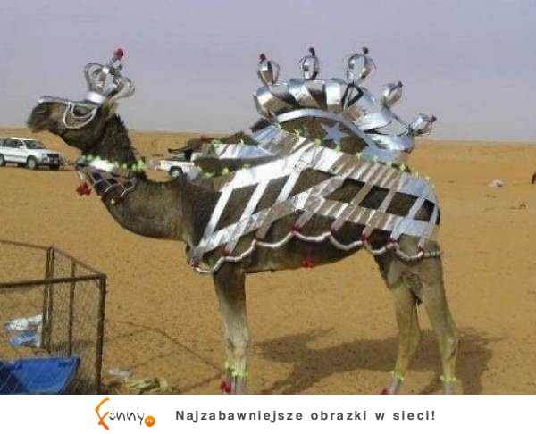 Niesamowite bogactwo Dubaju niedostępne dla zwykłych śmiertelników!