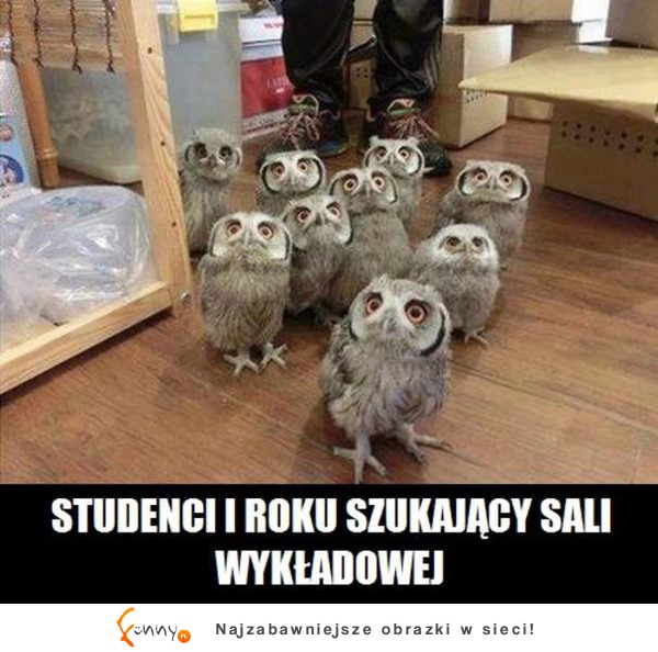 Studenci