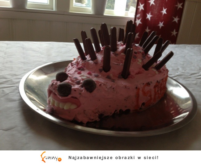 Kuchenne wpadki Kuchenne wpadki