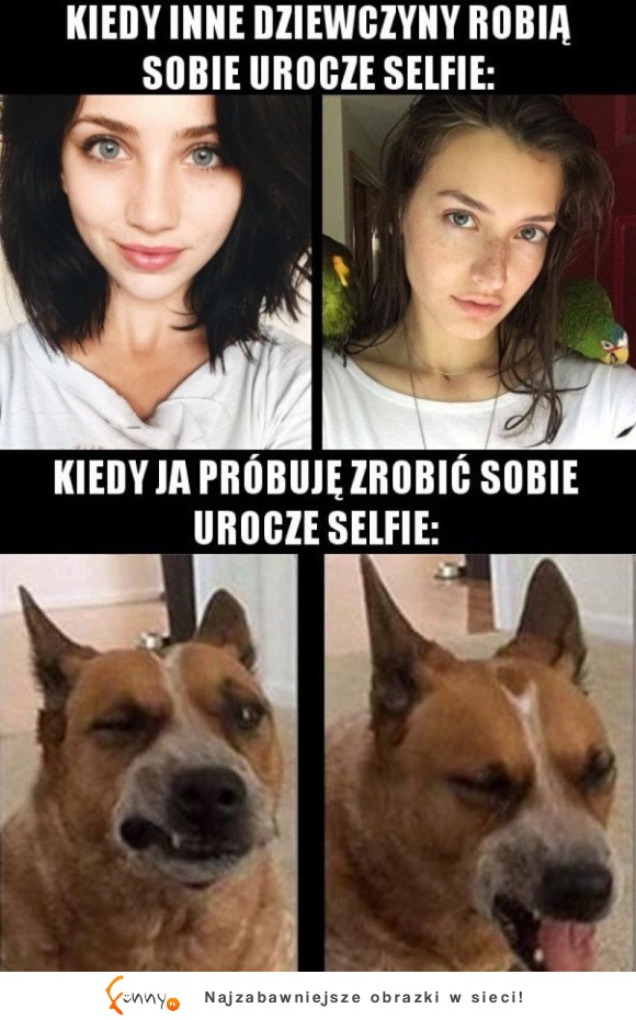 Tak to wygląda naprawdę XD A one pewnie robią to zdjęcie setki razy XD