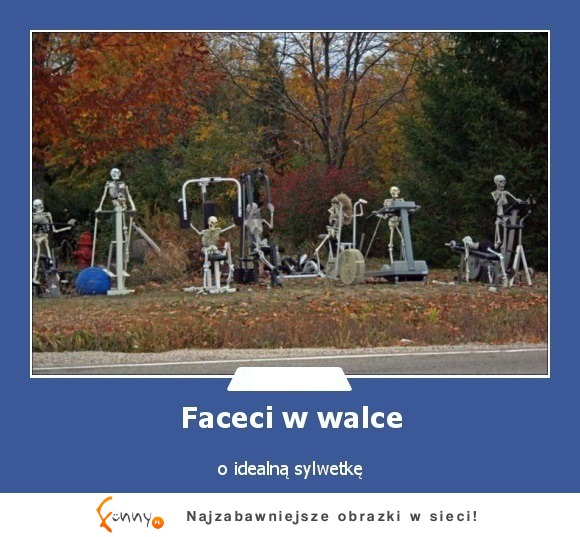 faceci w walce