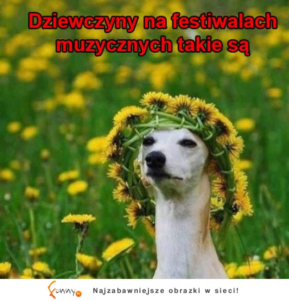 Laski takie są