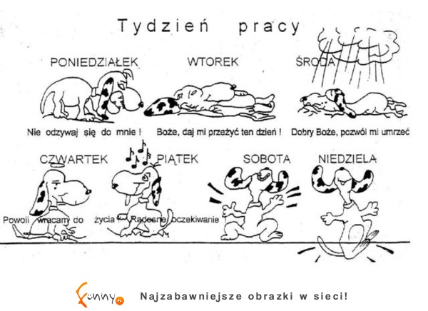 Jak wygląda tydzień w pracy? Macie tak samo? haha :D