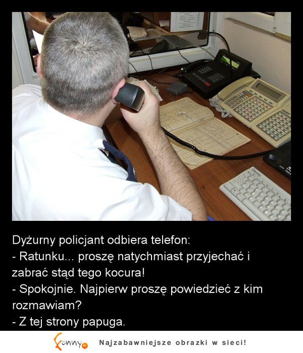 Dyżurny policjany odbiera telefon! - Ratunku... proszę natychmiast przyjechać i zabrać stąd tego kocura! :D