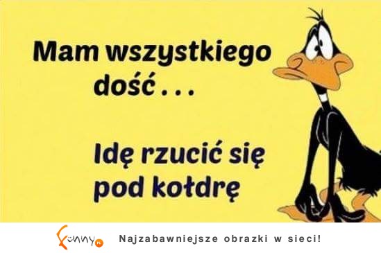 idę się rzucić