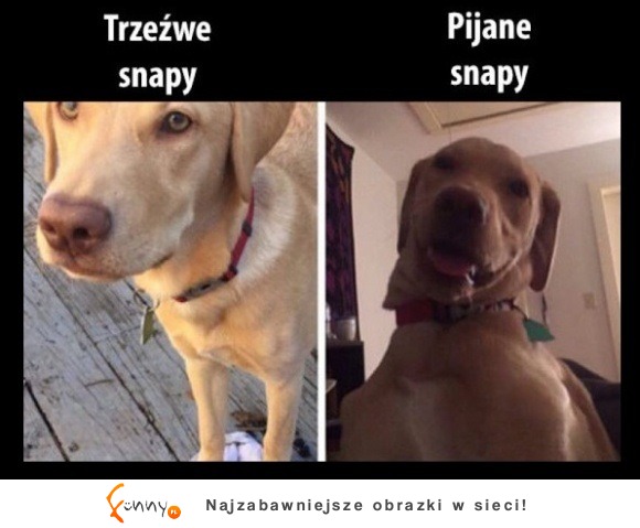 trzeźwe vs pijane snapy