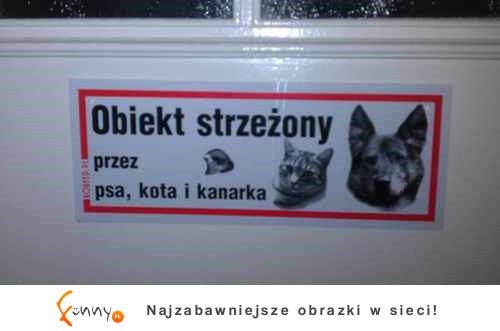 Bój się!