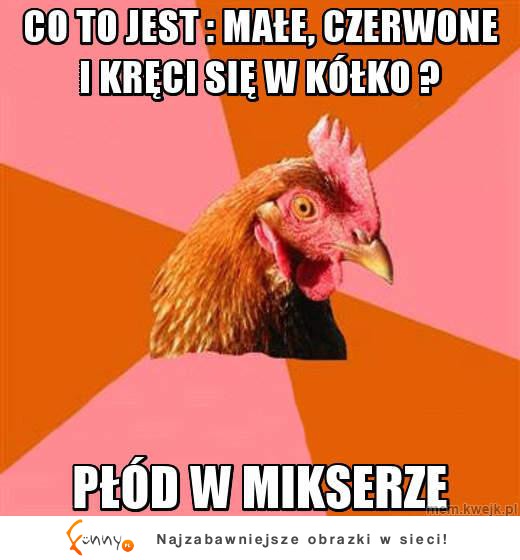 Płód w mikserze