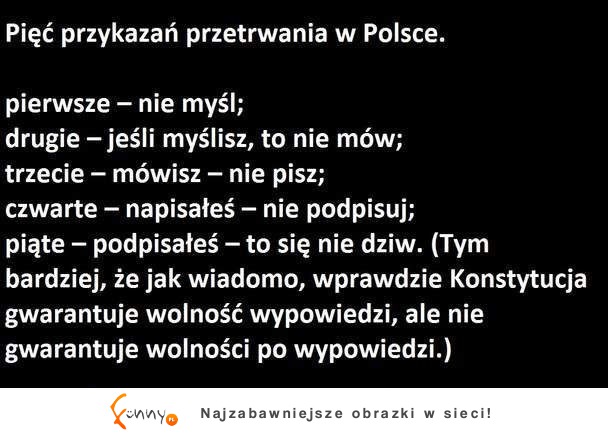 Zobacz jak przetrwać w Polsce 5 zasad! :D