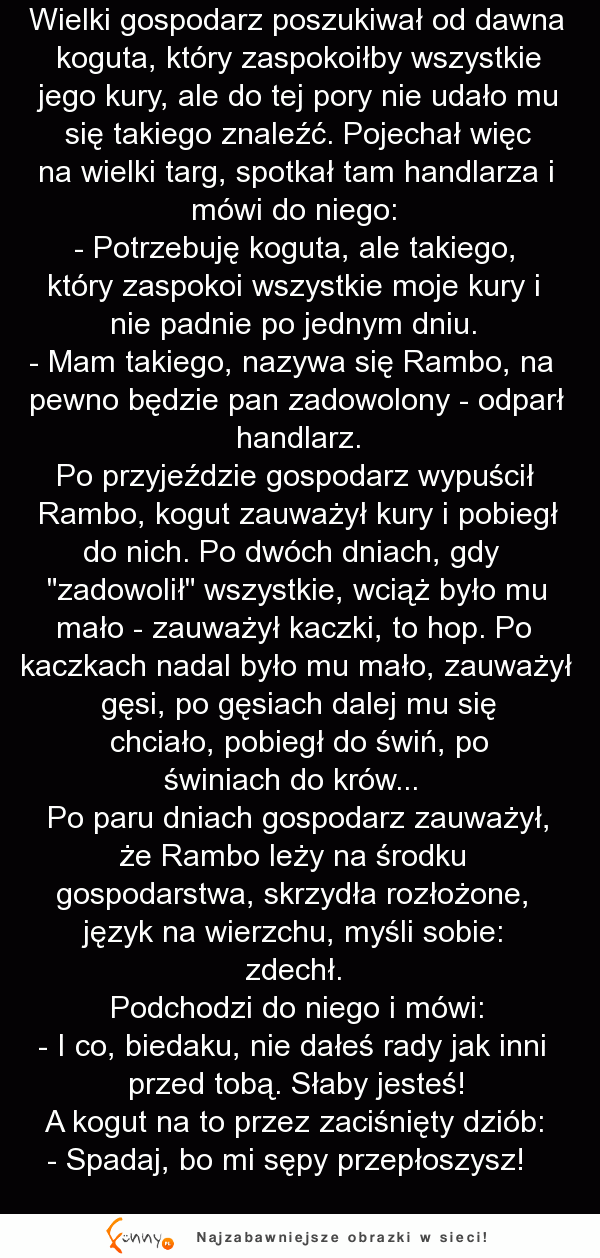 HEHEHE MEGA kawał o kogucie RAMBO ;D