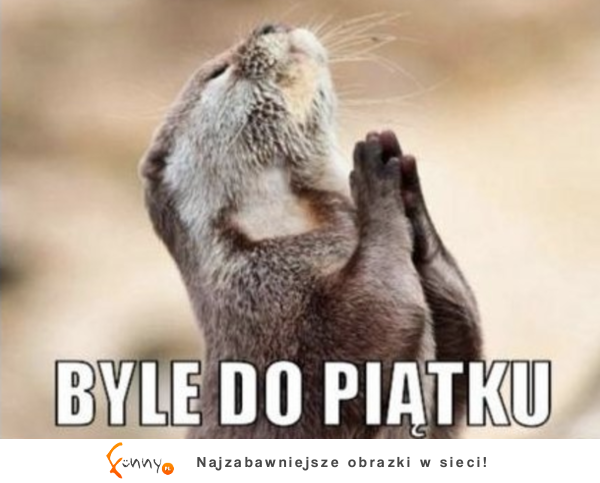 Byle do piątku!