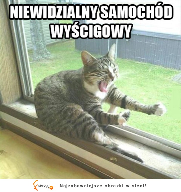 Niewidzialny