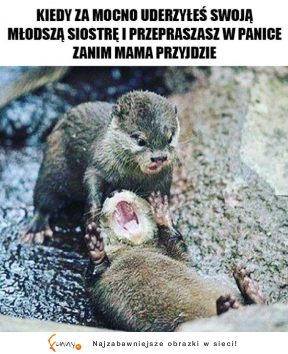 kiedy za mocno uderzyłeś młodszą siostrę