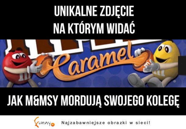 Unikalne zdjęcie