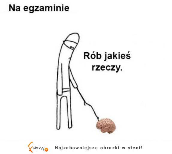 Ja na zajęciach