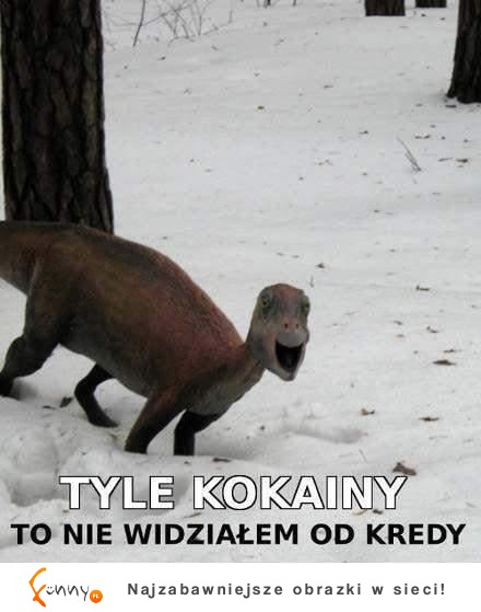 Tyle kokainy!