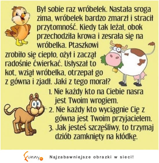 Prawda życiowa, którą musisz poznać! DOKAŁDNIE!