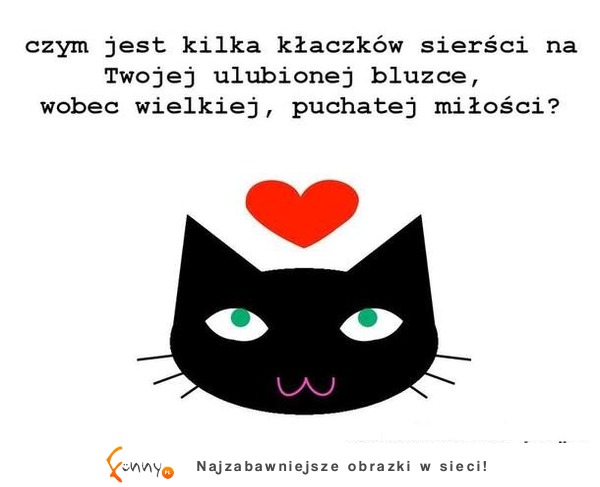 Puchata miłość