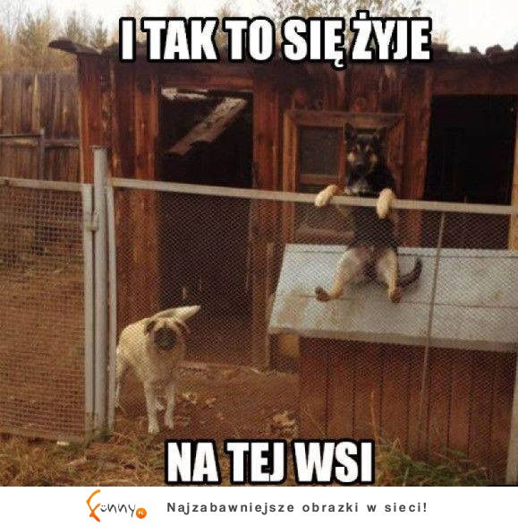 tak się zyje