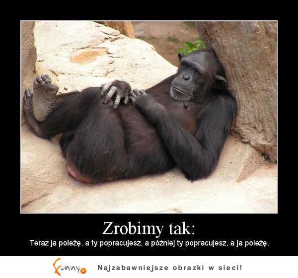 Zrobimym tak :D