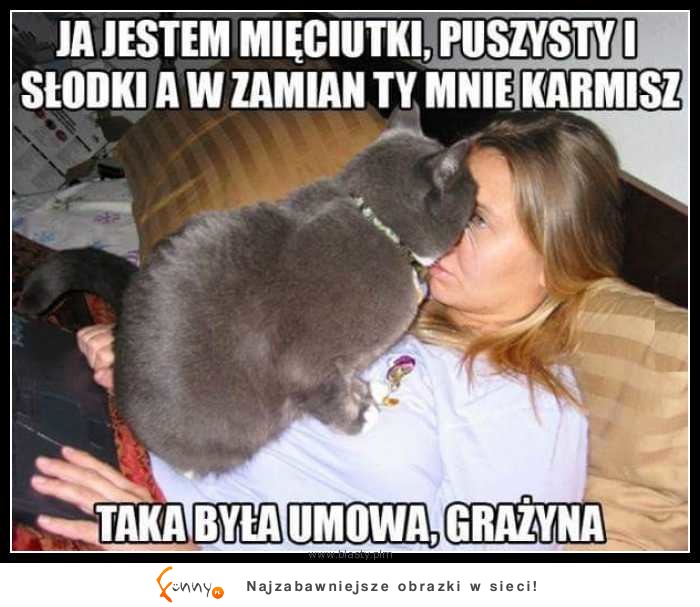 GRAŻYNA