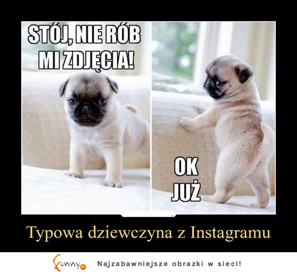 Typowa dziewczyna z Instagrama