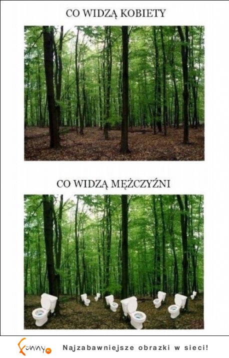 Co widzą KOBIETY vs Co widzą Mężczyźni