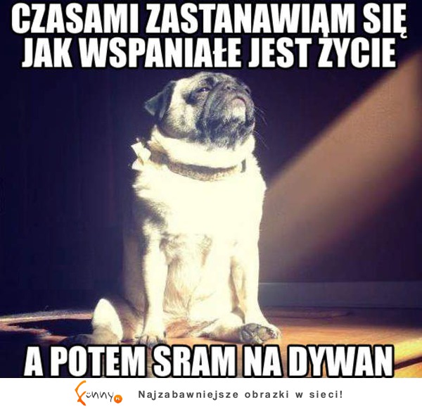 Jak wspaniałe jest życie :D