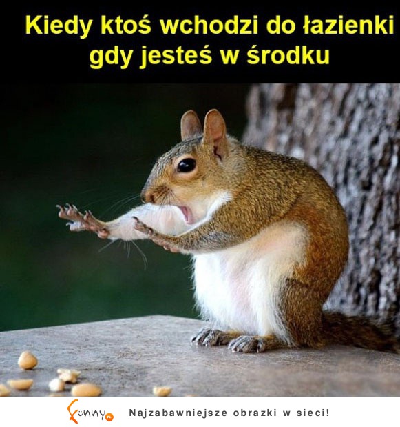 Kiedy ktoś wchodzi