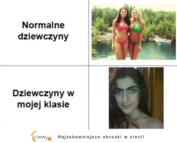 Normalne dziewczyny i dziewczyny w mojej klasie, haha