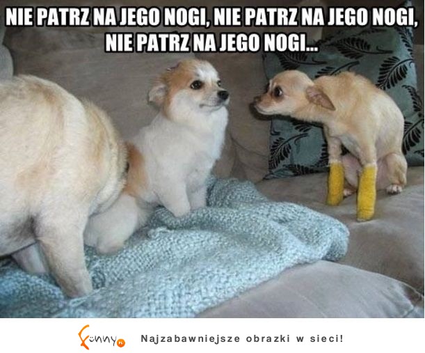 NIE PATRZ NA JEGO NOGI