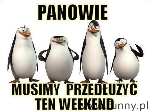 pingwiny