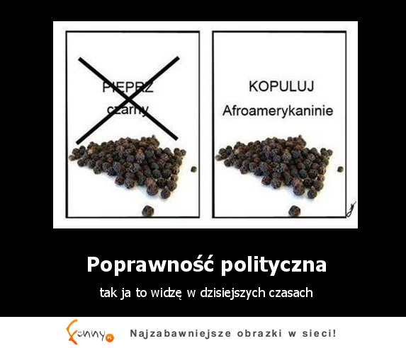 Poprawność polityczna