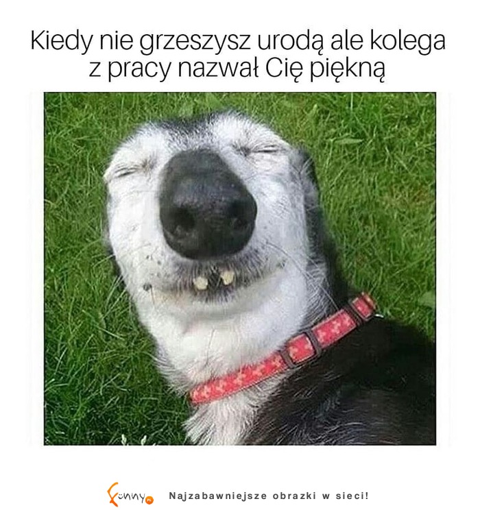 najpiękniejsza