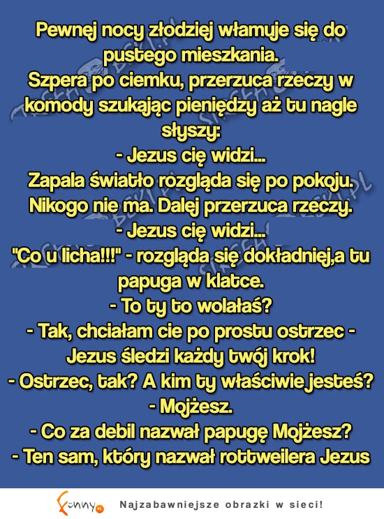 Złodziej włamuje się do mieszkania i słyszy głos... HAHA ALE BEKA!!!