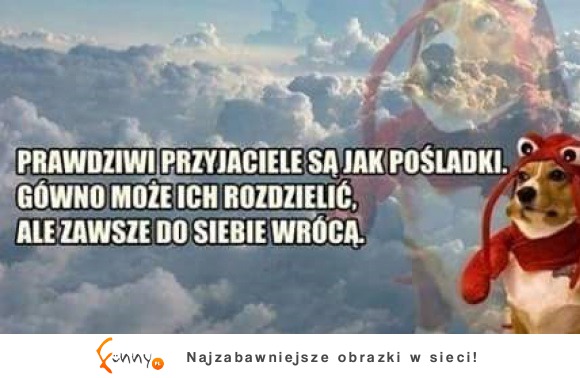 Co ten pieseł