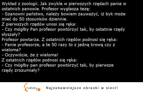 BEKA na wykładzie z zoologii!! Wojna płci podczas dyskusji o krowie =D