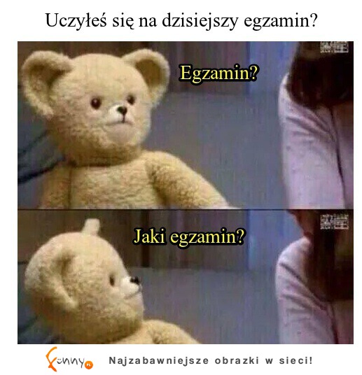 Uczyłeś się na dzisiejszy egzamin? :)