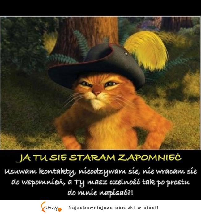 Ja tu się staram zapomnieć