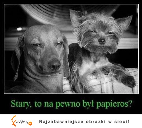 Stary, to na pewno był papieros? :-)