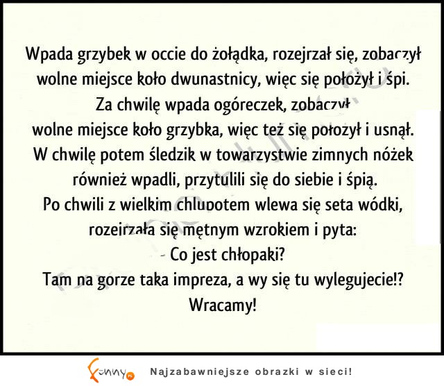 Grzybek w occie, ogóreczek i śledzik spotykają się w żołądku. I nagle dołącza do nich wódka :D