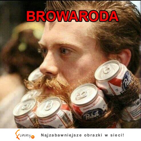 Browaroda