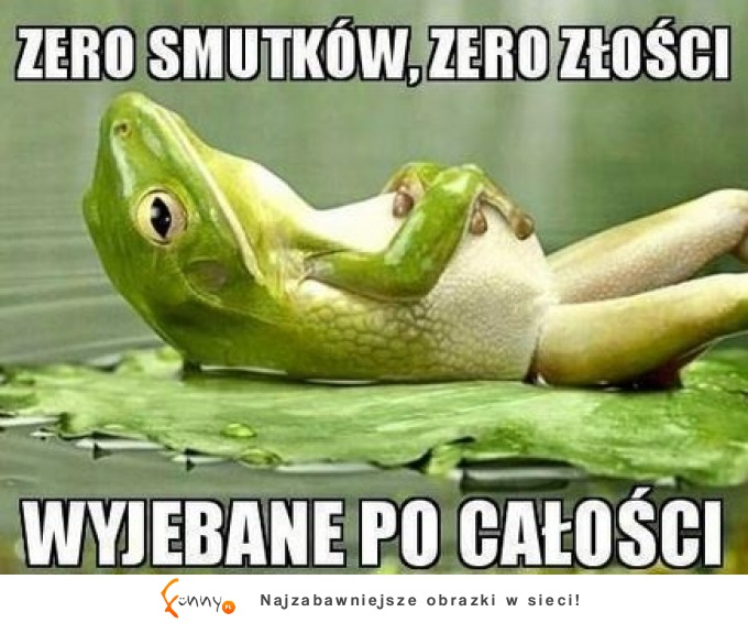 Zero smutków