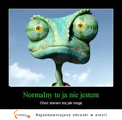 Normalny to ja nie jestem :D