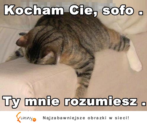 Kocham cię, sofo.