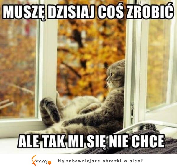 Muszę dzisiaj coś zrobić